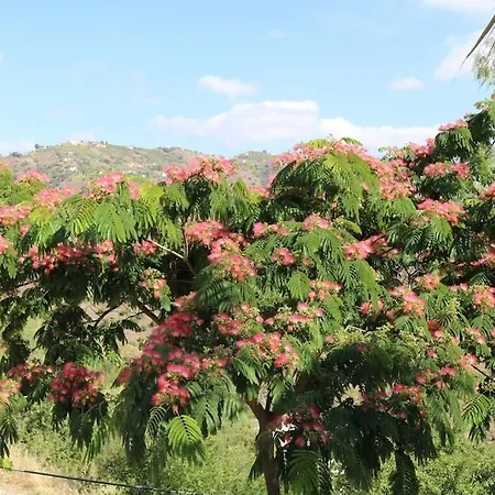Exceptional Costa Del Sol El Espuela For 8 Heated Pool Amazing Views & Quality Вилла *